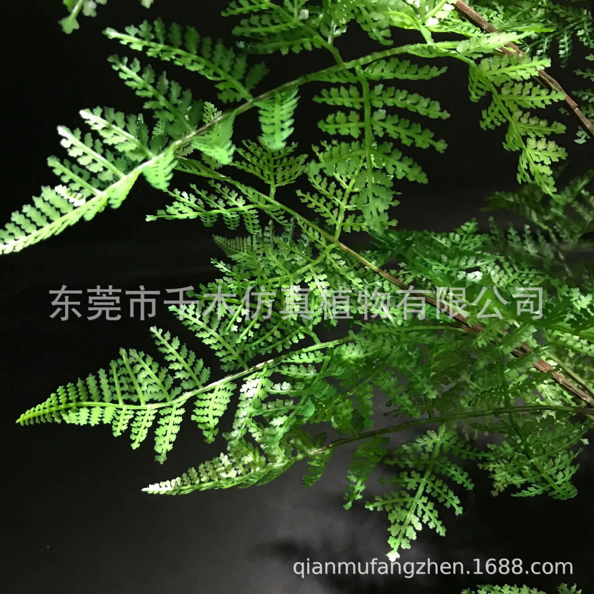 微信图片_202012042043209