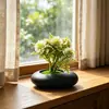 Nuevo Maceta Pequeña Poco Profunda Piedra Negra Malla 5 Plantas Acuáticas Bonsái Pequeño Oficina en Casa Escritorio Flor Artificial Adornos de Bonsái