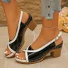 Sandálias Romanas Retrô Vazadas Moda Outono/Inverno 2026 Novo Tamanho Grande Estilo Cruzado Cor Sólida Fivela Peep-Toe para Exterior