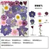 Marcador de Flores Secas Espécimen de Planta Película Selladora Botella Flores Prensadas Recolectadas en Otoño Material Hecho a Mano DIY Flor Transparente