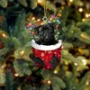 Navidad Transfronteriza Lindos Calcetines de Navidad Perro Árbol de Navidad Decoración Colgante Regalo Creativo Festivo