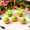Ornamento de Grama Fofo com Expressão Curativa para Mesa, Plantas Verdes em Vasos, Boneca DIY Caixa Surpresa, Decorações de Casa de Boneca, Acessórios de Resina