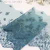 Tanglong Renda Bordada de Malha Colorida Fio de Prata Flor Pequena Fresca e Bonita 27cm Vestido Renda para Vestido de Casamento Acessórios