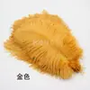 Penas de Avestruz Decoração de Casamento Acessórios de Vestuário Adereços de Performance Ornamentos de Pena DIY 20-25cm