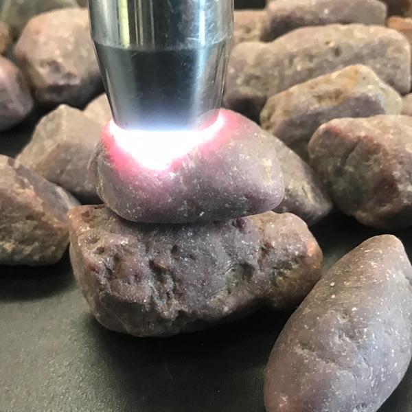 gm6WifKnzdTvlDvTUnbScywOLH9dTZW5Ya0t