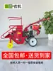Cosechadora Pequeña Trigo Arroz Pimiento Pastizal Tallo de Maíz Autopropulsada Multifuncional Accesorios de Fábrica