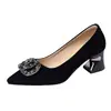 Sapatos femininos rasos de camurça bico fino estilo francês, novos sapatos de salto alto da moda primavera-verão 2026, sapatos de salto grosso confortáveis com strass para mulheres