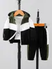 Conjunto de dos piezas para niño: chaqueta con capucha de bloques de color y pantalón jogger de bloques de color, directo de fábrica, al por mayor para exportación y comercio transfronterizo