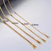 Cadena de serpiente cuadrada de acero inoxidable al por mayor cadena de hueso de serpiente collar de temperamento dorado cadena de clavícula chapado en oro de 18 quilates