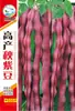 Semillas de Verduras Variadas para Otoño e Invierno, Semillas de Col China, Plántulas con Alta Tasa de Germinación, Nuevas Variedades de Colza Empresas Mayoristas