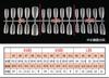 Pegatinas de Uñas Portátiles con Forma de Concha para Uñas, Uñas Postizas Portátiles con Forma de Frijol Ovalado de Longitud Media, Específicas para Salón