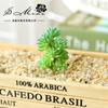004 Cabeza de Flor de Planta Suculenta Verde Afelpada Suministros Creativos para Bricolaje Accesorios para Colgar en la Pared Decoración de Flores para el Hogar Planta Verde Shangyi