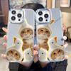 Aliexpress Mais Vendido Capa de Celular Espelho Gato Laranja Divertido Apple 16 15 Adequada para iPhone 17Pm Espelho de Maquiagem para Meninas