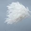 Simulation Mist Flower Champagne White Rime Grass Wedding Auditorium Simulation Flower Decorative Ceiling Landscape Fake Flower Plastic Flower