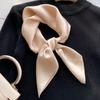 Bufanda de seda fina de morera de alta gama para primavera y otoño de 2024, regalo para mujer, bufanda pequeña a juego elegante y vintage.
