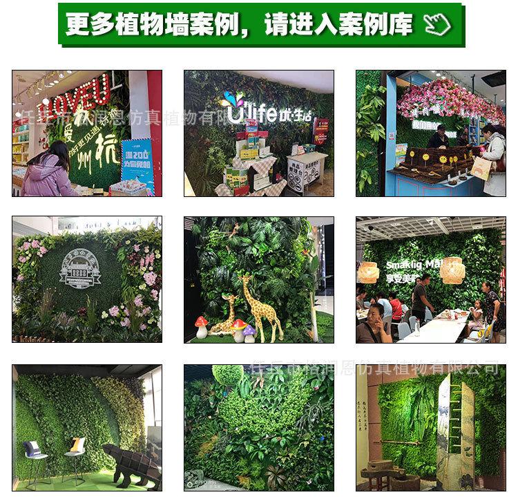 植物墙20180925版_06.jpg