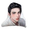 Almohadas Personalizadas con Tu Propio Diseño, Personalizadas con Logo de Empresa, Almohadas Personalizadas para Mascotas, Cojines con Formas Especiales, Almohadas con Fotos