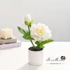 Bonsái Artificial de Peonía de Dos Cabezas Personalizado Decoración Creativa para el Hogar Adornos de Flores de Simulación Plantas Verdes Plantas en Maceta de Simulación