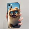 Para iPhone15 comercio exterior guapo gafas de sol gato y perro funda de teléfono