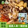 Paquete de Sopa de Hongos Morel, Paquete de Sopa de Hongos de Colores, Hongos Silvestres, Ingredientes para Sopa Matsutake, Sin Dátiles Rojos ni Bayas de Goji