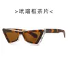 Nuevas Gafas de Sol Rayadas Ojo de Gato de Personalidad Europeas y Americanas para Primavera y Verano Moda para Usar Fotografía Callejera Protección Solar Gafas de Sol de Comercio Exterior