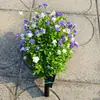 Amazon Flor de Té Hoja de Eucalipto Planta Verde Artificial Jardín Bonsái Decoración de Suelo Morado