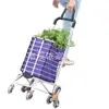 Venta Directa de Fábrica Carrito de Compras Jialai Barra de Tiro Carrito para Subir Escaleras para Personas Mayores Se Puede Sentar Plegable Carrito de Remolque Doméstico