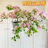 Plántulas de Buganvilia en Maceta con Flores, Plántulas Extra Grandes, Sakura Zhanghong, Interior Balcón, Floración Multitemporada, Enredadera de Alto Nivel