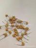 Capacitor Cerâmico Multicamada 100V334m 0.33UF 330NF Passo dos Pinos P5.08mm Tolerância de 20%