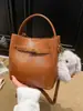 Bolso de Hombro Cruzado Vintage de Alta Gama para Mujer, Moda Nueva Otoño/Invierno 2025, Estilo Commuter