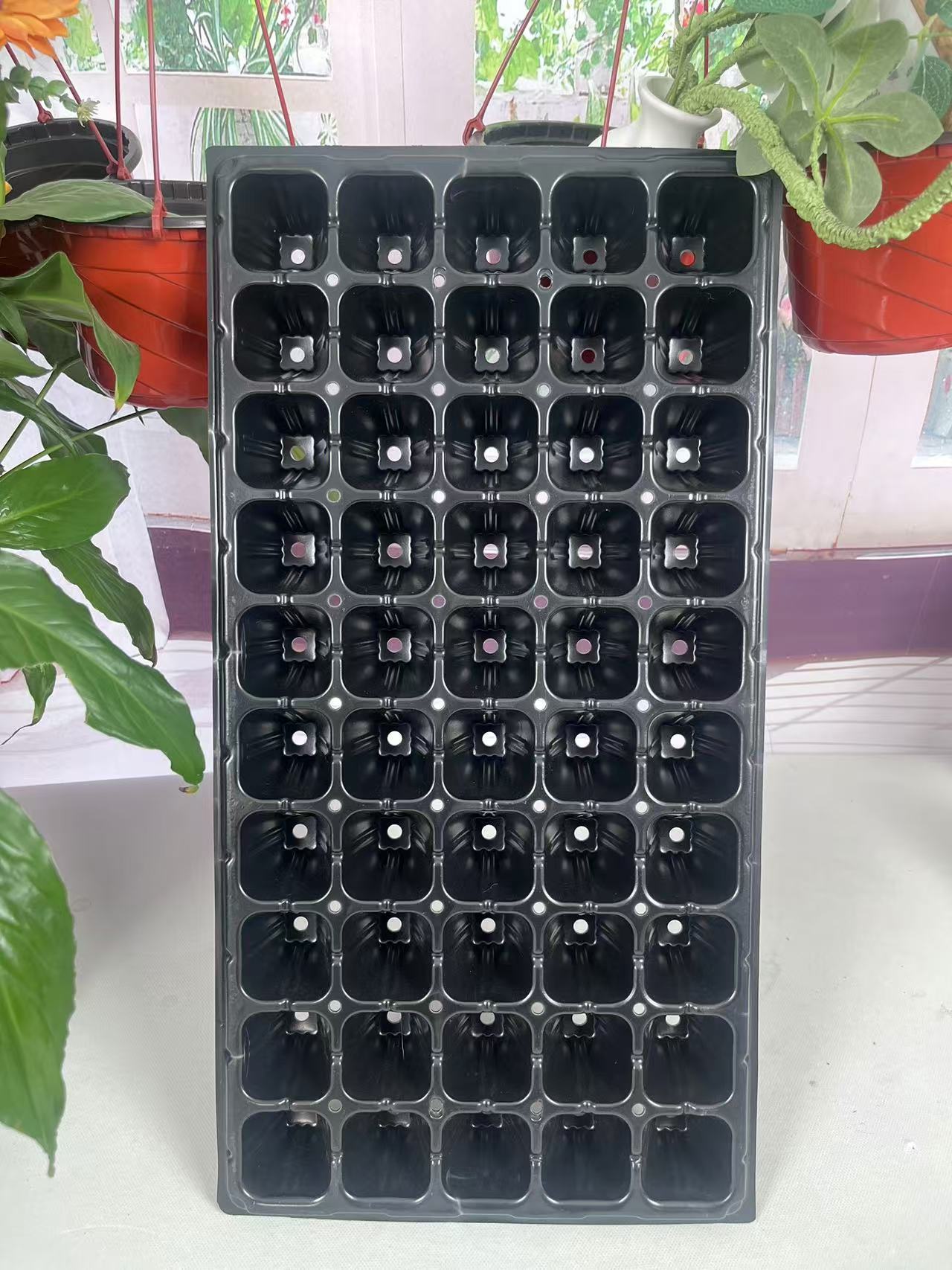 微信图片_20241105100109