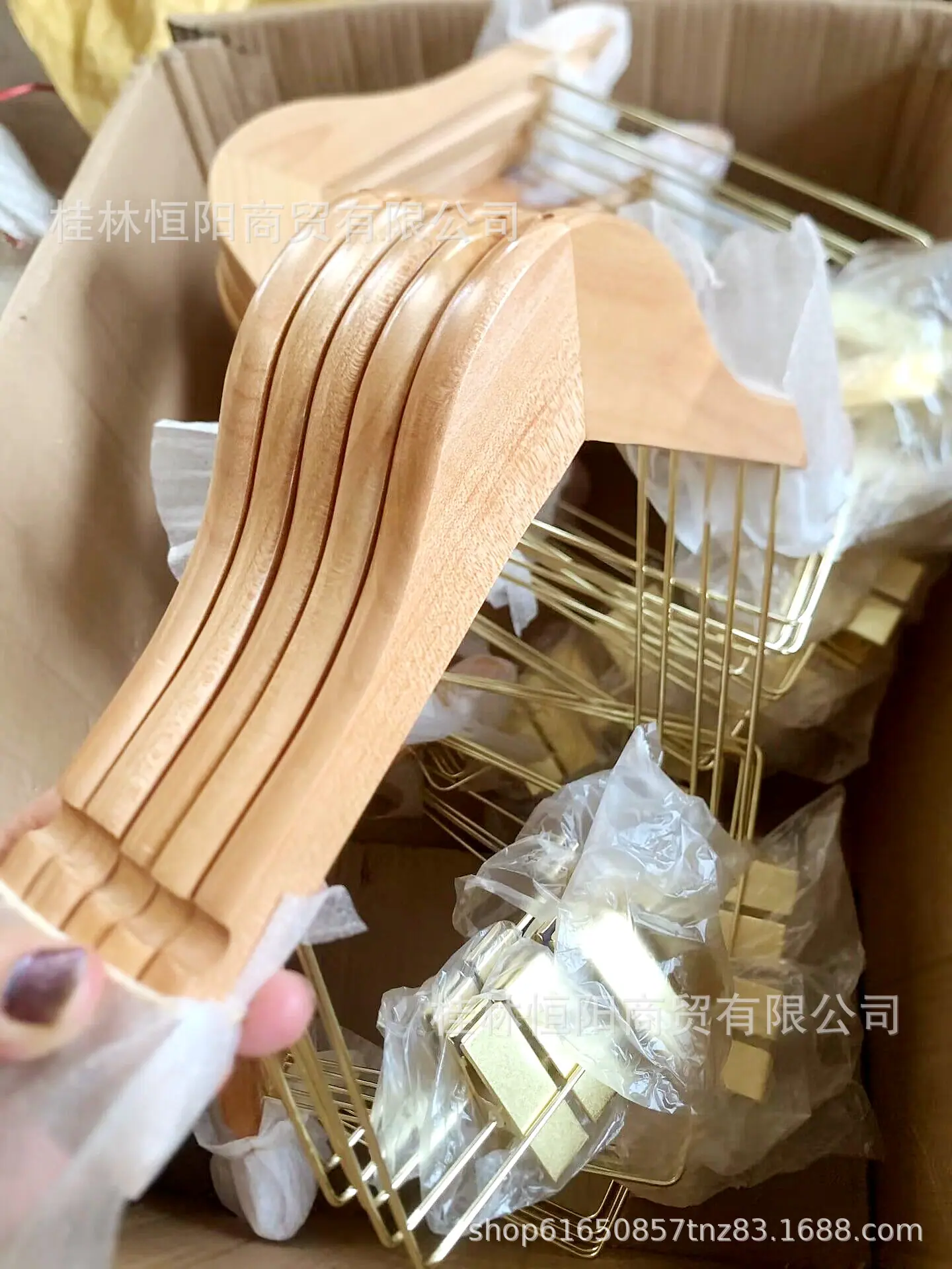 QQ图片20230611125104