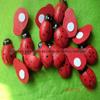 Adesivos de esponja de besouro de desenho animado de madeira mancha atacado acessórios de chip de madeira mini brinquedos de besouro