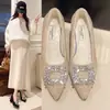 Sapatos rasos de calçar com fivela quadrada de strass para aumentar a altura para mulheres, outono e inverno, forrados com pelúcia, novos sapatos peludos populares de 2025