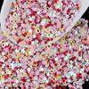 Estrellas de Cinco Puntas Imitación Perla, Corazones, Lentejuelas Mixtas Super Brillantes, Calcomanías de Uñas Láser Coloridas para Manualidades, Accesorios para Rostro