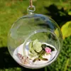 Florero de Vid Colgante, Florero para Suculentas, Botella para Micro Paisaje, Botella Redonda Transparente Colgante, Artículos para Bodas