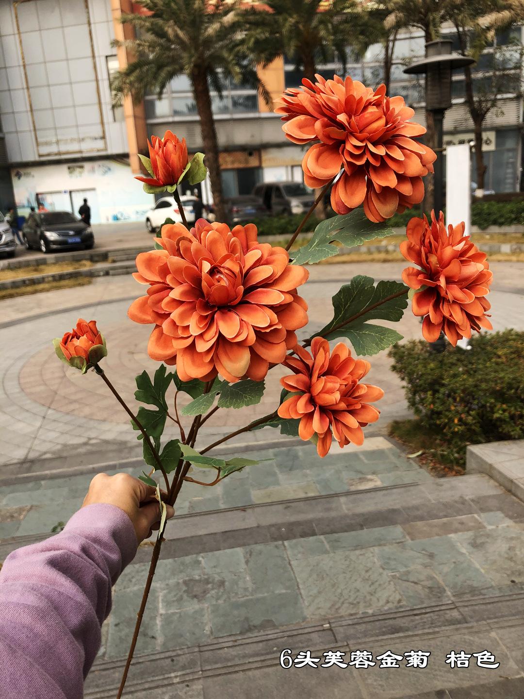 微信图片_20210116110233.jpg
