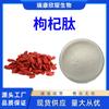 Péptido de Lycium barbarum 98% activo péptido de molécula pequeña natural polvo de péptido de Lycium barbarum grado alimenticio extracto de Lycium barbarum 1 kg por bolsa