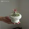 Piña Aérea Plantas Verdes de Escritorio para Oficina Plantas Pequeñas en Maceta de Interior Fáciles de Mantener Durante Todo el Año Flores Estabilizadoras del Ánimo para Personas Perezosas
