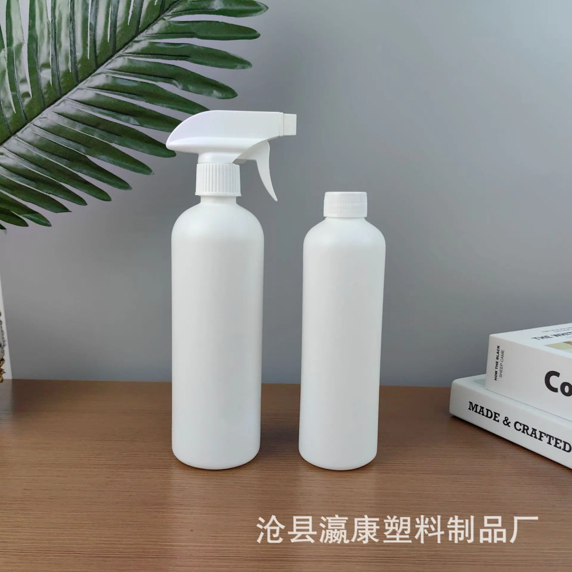 IMG_20230404_101159.jpg