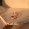 Pendientes Franceses de Doble Aro para Mujer, Diseño de Nicho, Pendientes de Alta Gama para Otoño e Invierno, Nuevos Pendientes Populares para Mujer 2026