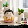 Pedra difusora de aroma de Buda versão Q, óleo essencial para quarto, uso doméstico criativo, fragrância premium duradoura, ornamento de mesa de cristal com flor seca
