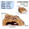 Terrario para Reptiles Agujero Escondite Madera de Abedul Escondite Venta Directa de Fabricante Mascota Reptil Lagarto Caja de Cría Casa Escondite