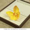 Flores de Phalaenopsis Grandes de Goma Blanda 3D Simuladas Cabeza de Orquídea Tailandesa Tocado Étnico con Flores Flor de Sombrero Decorativa DIY Flores