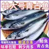 Cavala Fresca Viva, Peixe-Azul Inteiro Congelado, Anchova, Peixe Inteiro em Temperatura Ambiente