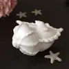 Frasco de Almacenamiento con Tapa con Forma de Caracola Estilo Ins Transfronterizo, Molde de Silicona para Taza de Velas de Yeso Aromaterapia con Forma de Caracola