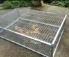 Paloma golpea puerta suministros para palomas mensajeras montaje jaula para palomas solo entrada sin salida barra móvil totalmente automática jaula golpea puerta solo entrada sin salida