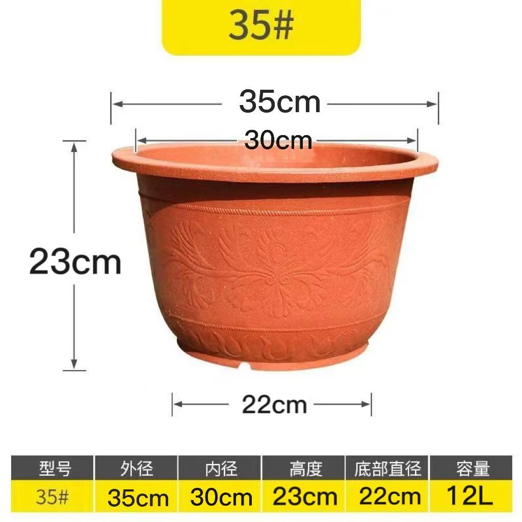 35红
