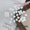 Pétalos de Flores Tridimensionales Transparente como el Hielo y Accesorios Florales para Uñas, Pétalos de Resina Coloridos de Venta Caliente Transfronteriza, Decoraciones de Uñas Portátiles para DIY