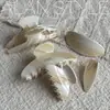 Un Nuevo Pinza para el Cabello de Acetato Estilo Coreano de Lan, Pinza de Garra Grande y Mediana, Pinza de Resorte, Pinza para Flequillo de Mujer, Pasador, Pinza de Tiburón, Accesorio para el Cabello